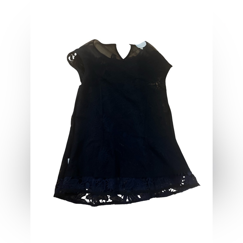 Anthropologie Deletta Black and Navy Lace Blouse - Picture 10 of 12